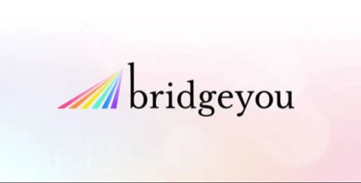 bridgeyou